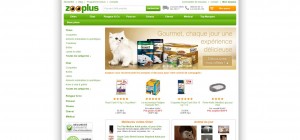 extrait-site-internet-alimentation-accessoire